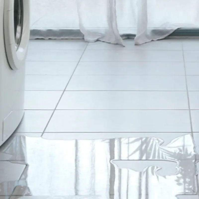 Appliance Leak Cleanup in Saranac, MI