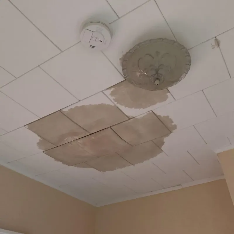 Ceiling Water Damage Repair in Saranac, MI