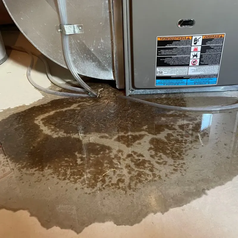 Pipe Burst and Leak Restoration in Saranac, MI