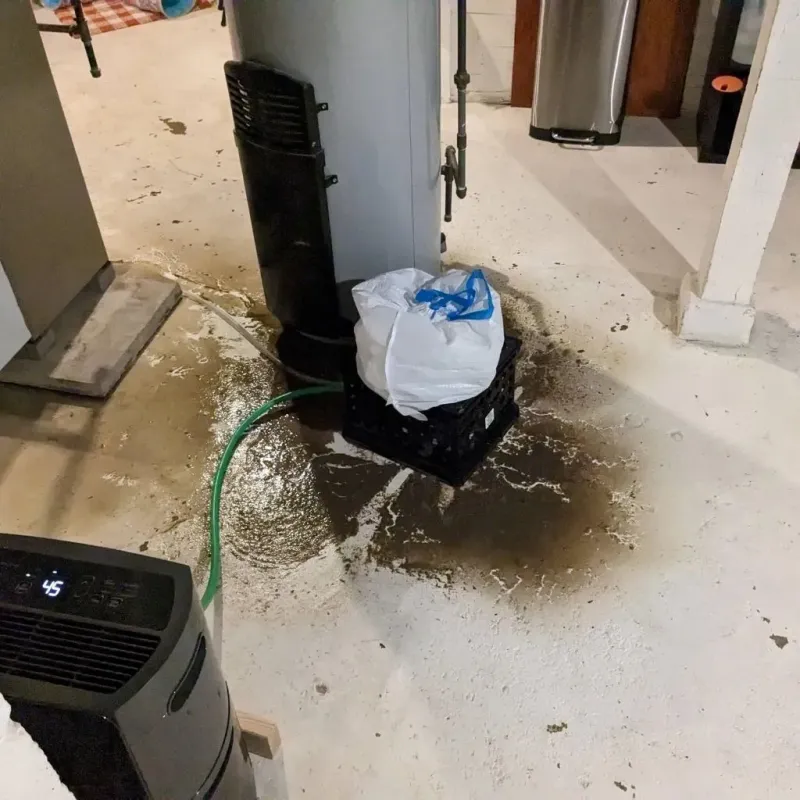 Sewage Backup Cleanup Service in Saranac, MI